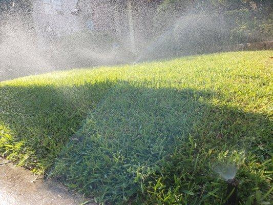 San Antonio Landscape and Irrigation
