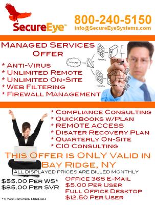 Secure Eye Systems