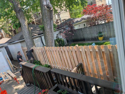 Michael Tague Landscaping