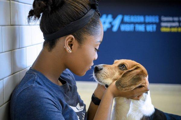 Scenthound Boise Northgate