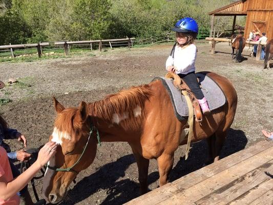 Little girl big horse