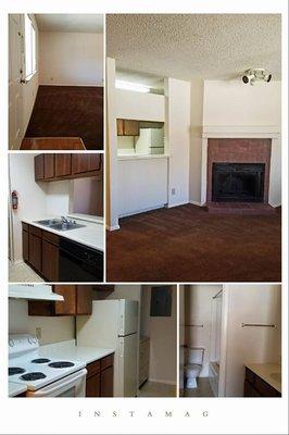 Briargreen Apartments