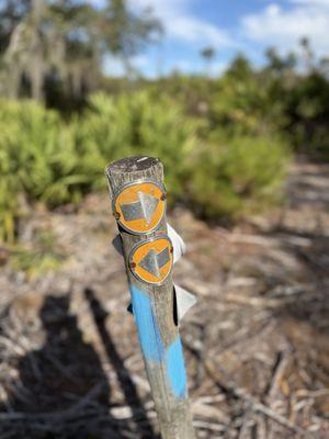 Golden Aster Scrub Nature Preserve