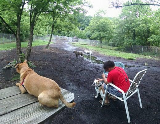 Spanky hanging out with the locals