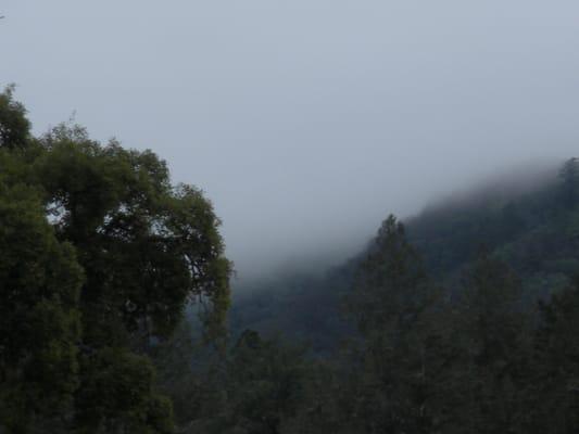 Personalized care with professionalism! In a tranquil & comfortable setting with digital and advanced treatment technology!