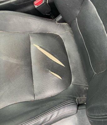 Edwards Seat Cover Company