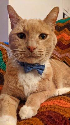 Pacific Coast Veterinary Hospital