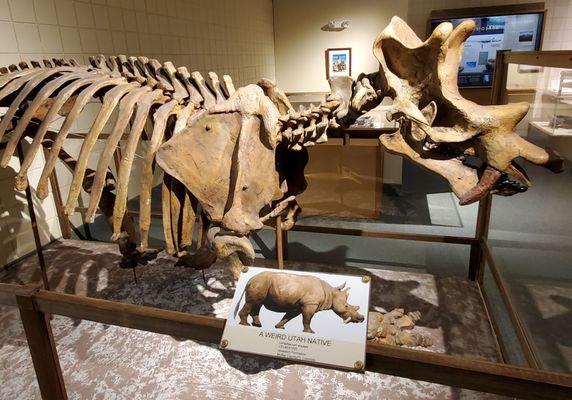 Utah State University Eastern Prehistoric Museum