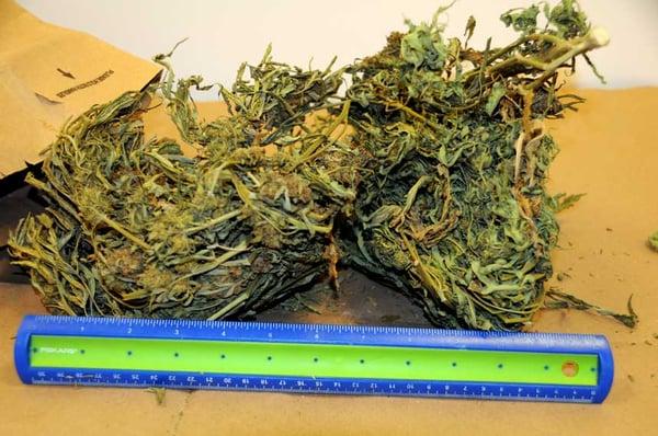 John M Jenks & Assoc