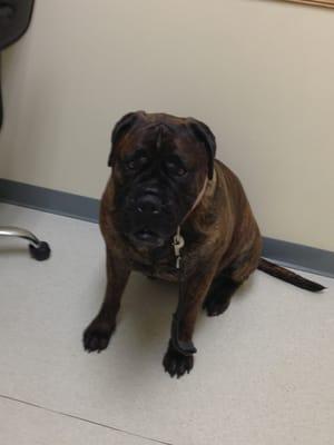 Doc saved my life. Love this place.