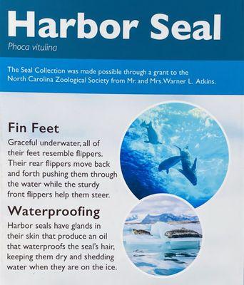 Harbor Seal Sign