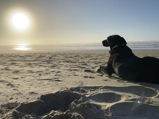 Nikki truly enjoying the sunset