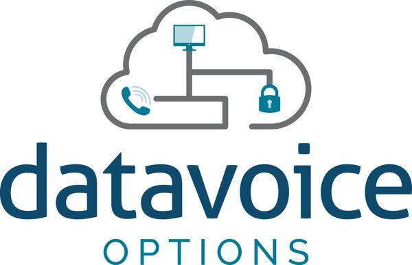 Data Voice Options