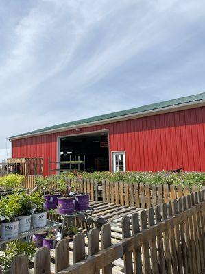 Marty Hamilton Lightning Rod