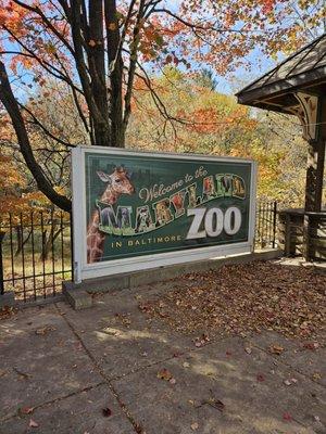 Maryland Zoo in Baltimore