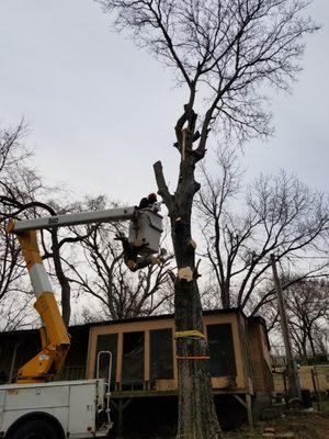 EZ Lawn Care & Tree Service