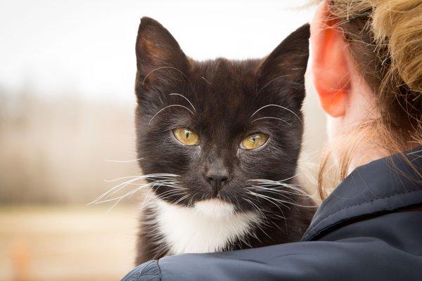 Northeast Arkansas Humane Society