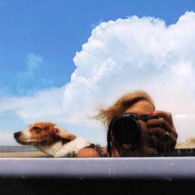 Roanoke Island Animal Clinic