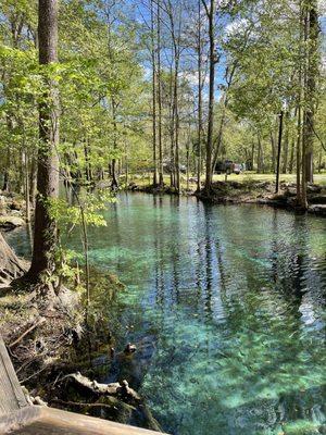 Ginnie Spring