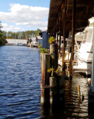 Backside of some of the covered docks.