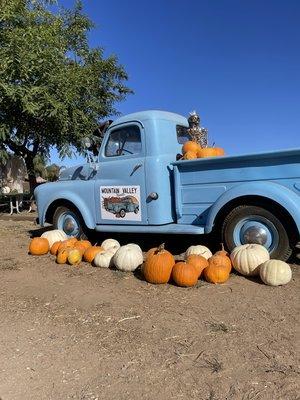 Mountain Valley Ranch Pumpkin Patch!