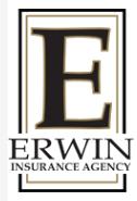 Erwin Insurance, A Division of World