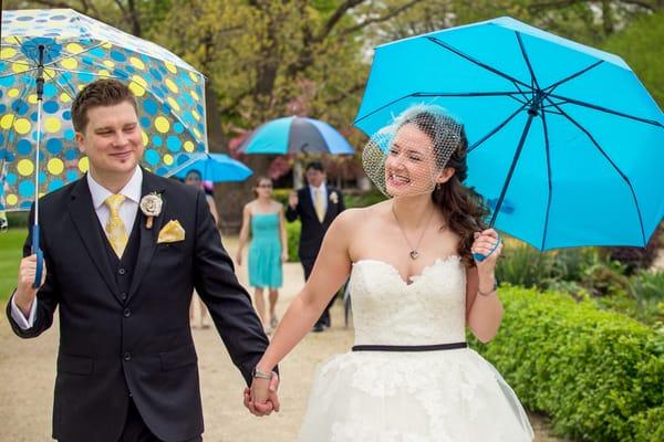 Wedding party with umbrellas, Boerner Botanical Gardens, Hales Corners, WI