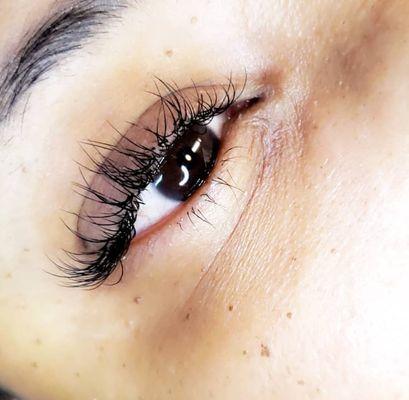 L_HEMMINGER HAIR&LASH