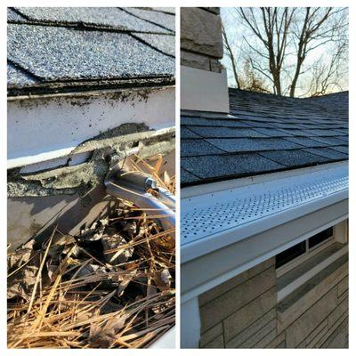 Gutter Guard