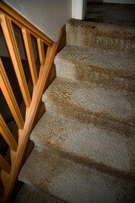 Water-logged carpeted stairs from fire-fighting efforts after home was on fire.