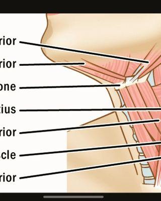 Jordan Allen, LMT - River Massage