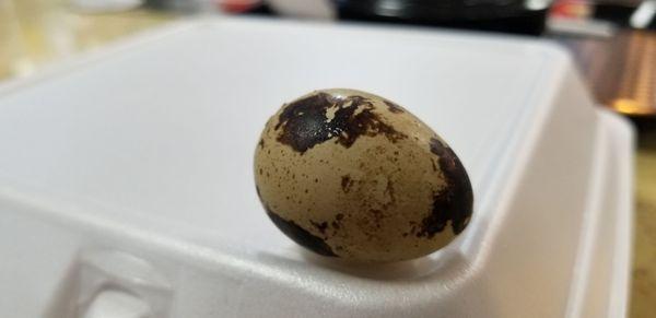 Noodle soup comes with a quail egg. Looks prehistoric!