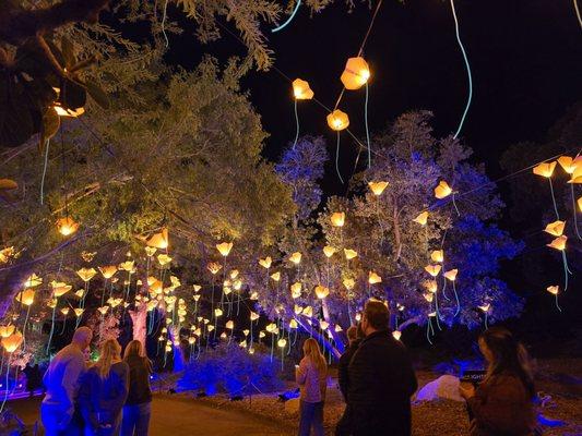 Lightscape San Diego