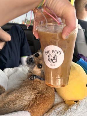 Big Pups Coffee Company