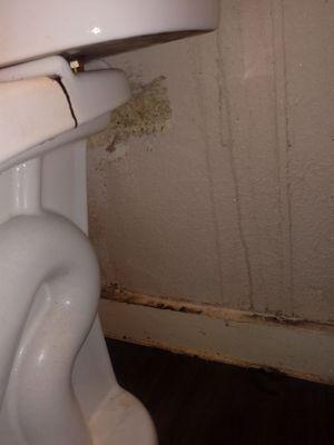 Sparkle Cleaning Services