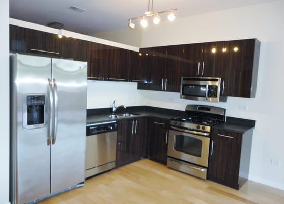 Updated Modern 2 bed, 2 bath in Lincoln Park