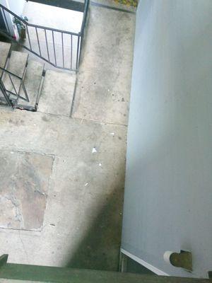 Magnolia Court Apartments