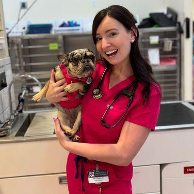 Newport Harbor Animal Hospital