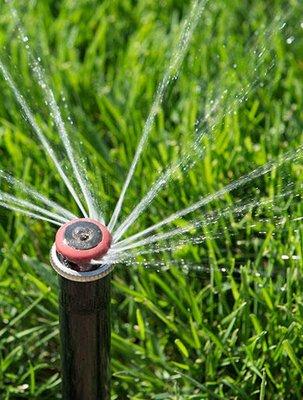 Avila Lawn & Landscaping