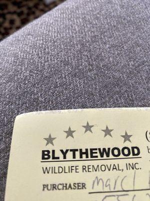 Blythewood Wildlife Removal