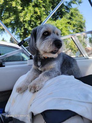 Yolo Veterinary Medical Center