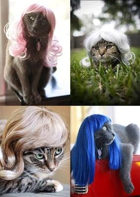 Capitol Crest Apartments