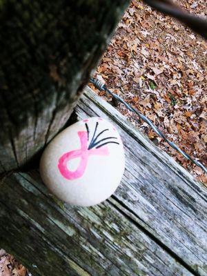 Land Between the Lakes