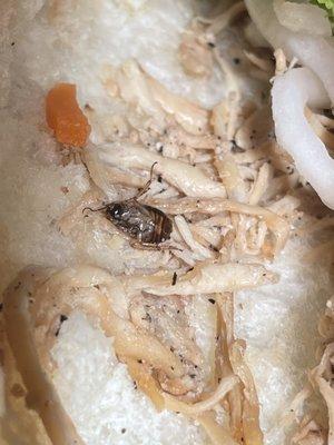 No explanation need. Disgusting . Was the go to banh mi spot. Won't be going back