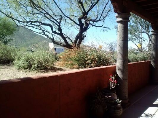 your view as you relax with your wonderful foot massage!