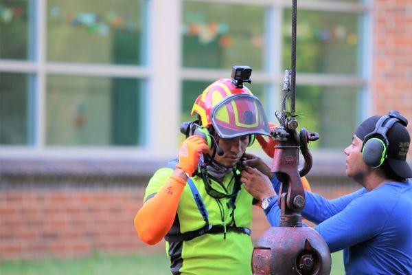 Medrano's Tree Service