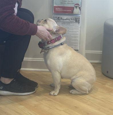 Carter & Higgins Orthodontics