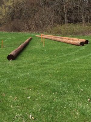 They are installing a zip line!