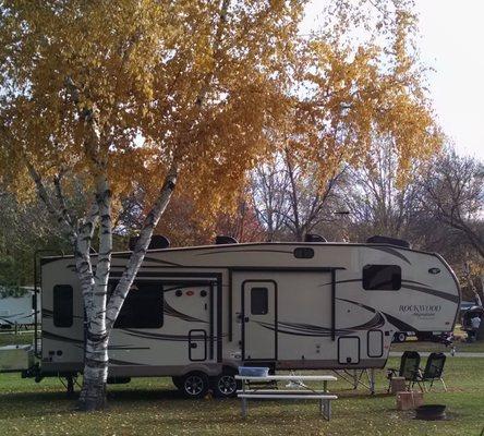 Most Pull through sites have mature shade trees.