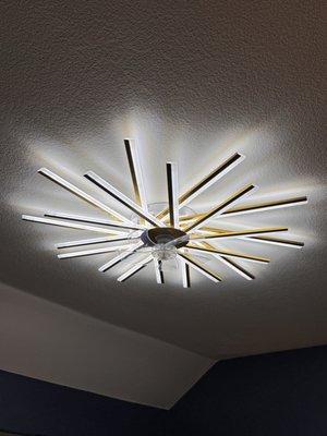 Artistic ceiling fan